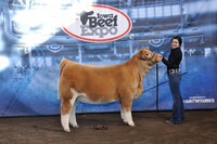 Charolais Percentage