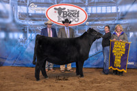 Top 5 Heifer