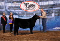 Angus Show & Sale