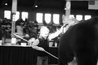 Breeding Candids Saturday