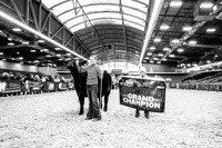 Futurity-photos