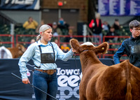 Simmental