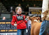 Mini-Hereford