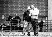 Breeding Heifer Candids