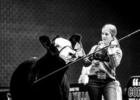 Simmental