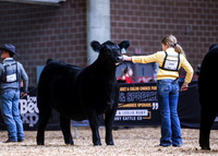 Percentage Simmental