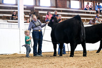 Showmanship