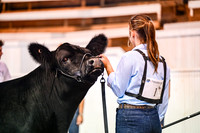 Steers