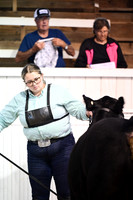 Percentage Heifers