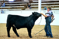 Bulls