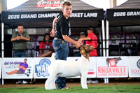 Breeding Show