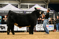 Market Beef