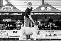 Breeding Goats