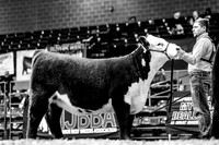 Supreme Row & Futurity Show