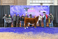 Junior Show