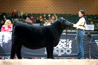Angus