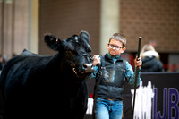 Maine Angus