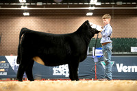 Percentage Simmental
