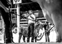 Market Beef-photos